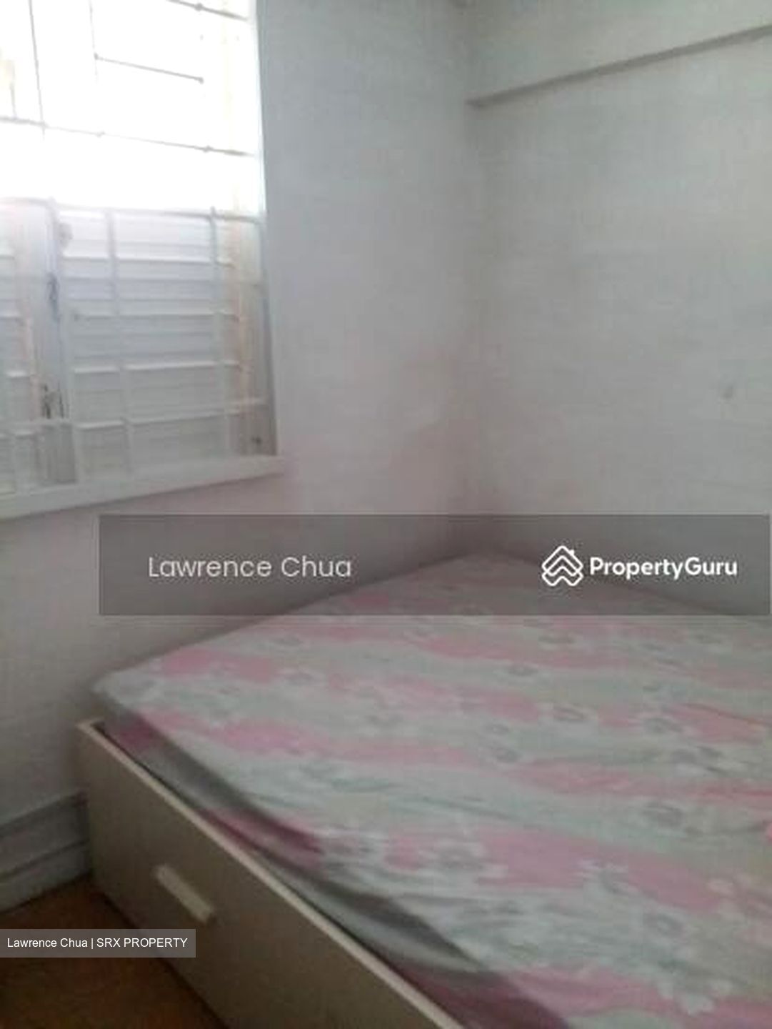 Holland Avenue (Queenstown),  #428313311